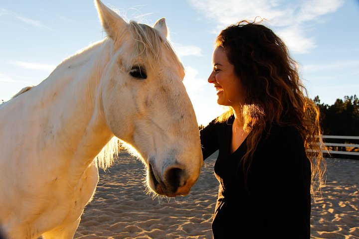 Experience the delight of connecting with horses in new ways